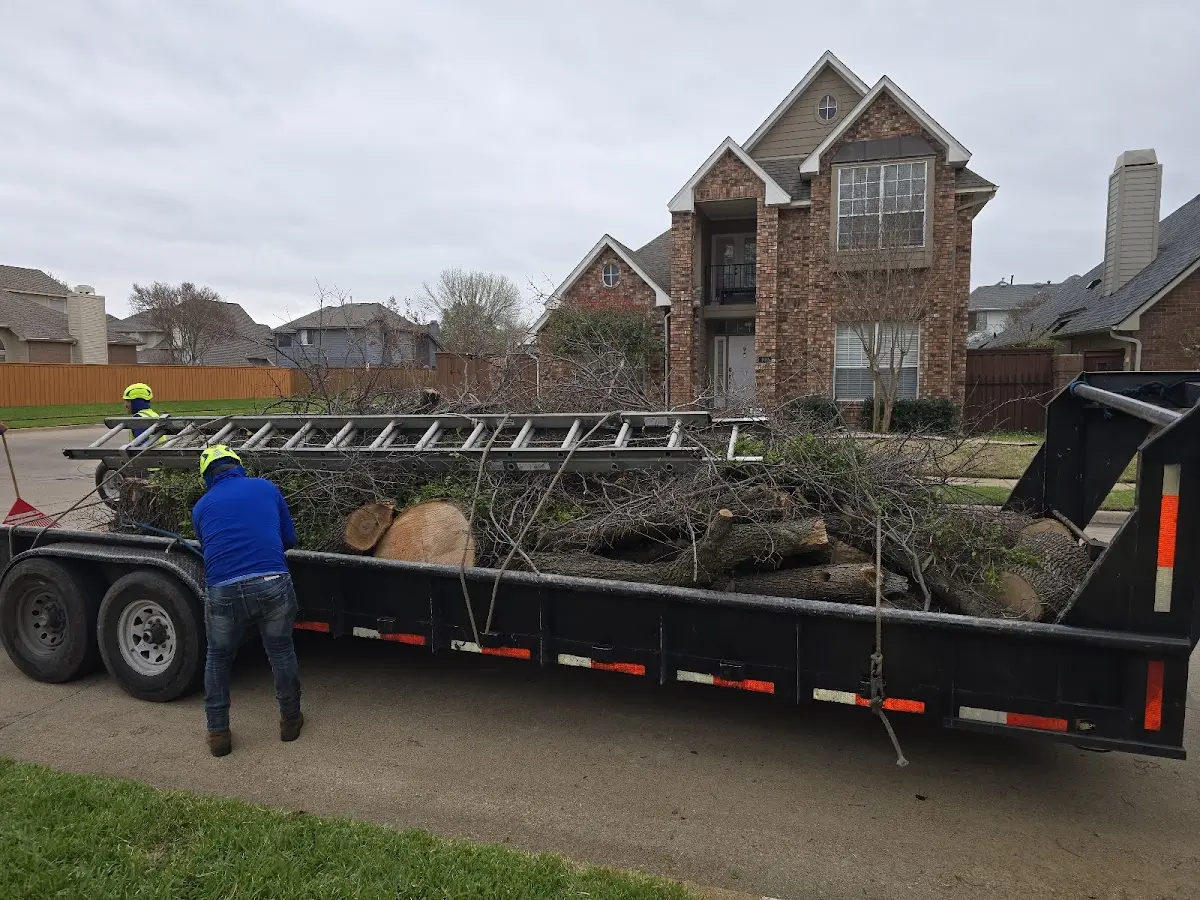 Expert Deadwooding with proper safety equipment in Red Oak